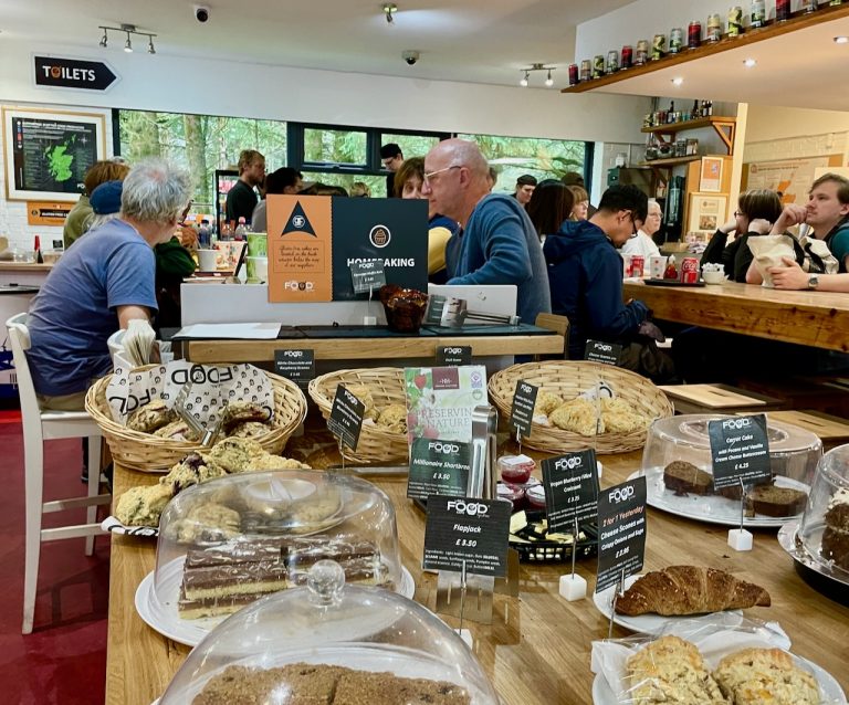 REAL FOOD CAFE AUG24 768x638