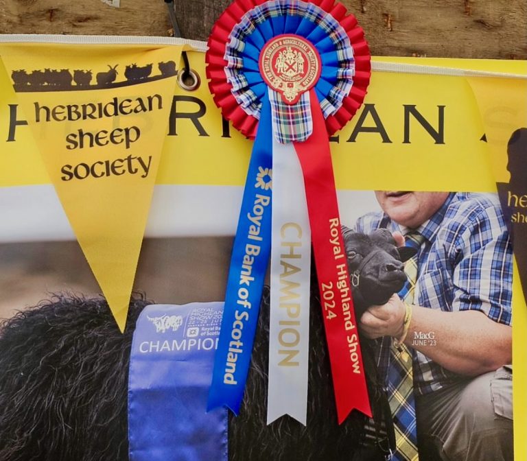 ardoch champion 768x672