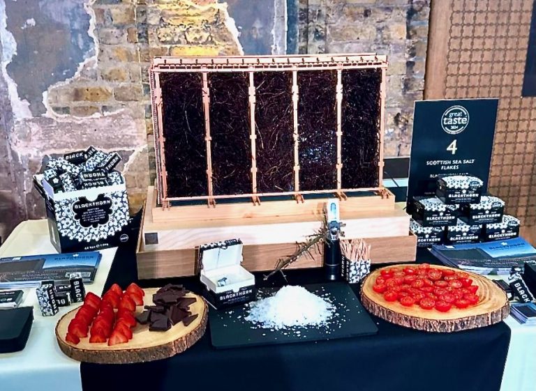 blackthorn model 768x561