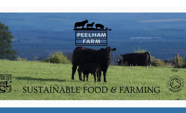 peelham logos 1 768x467