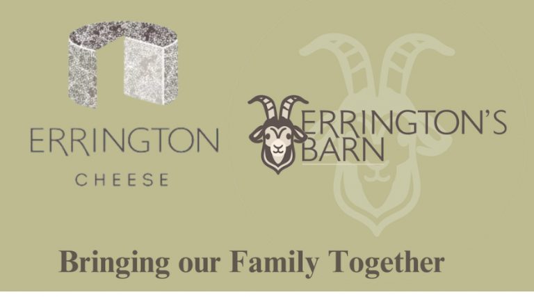 errington logo 1 768x427