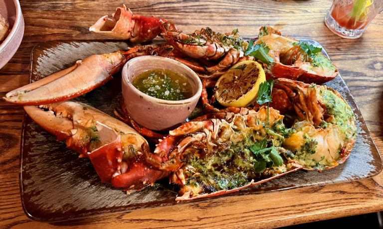 skye24stein6 768x460