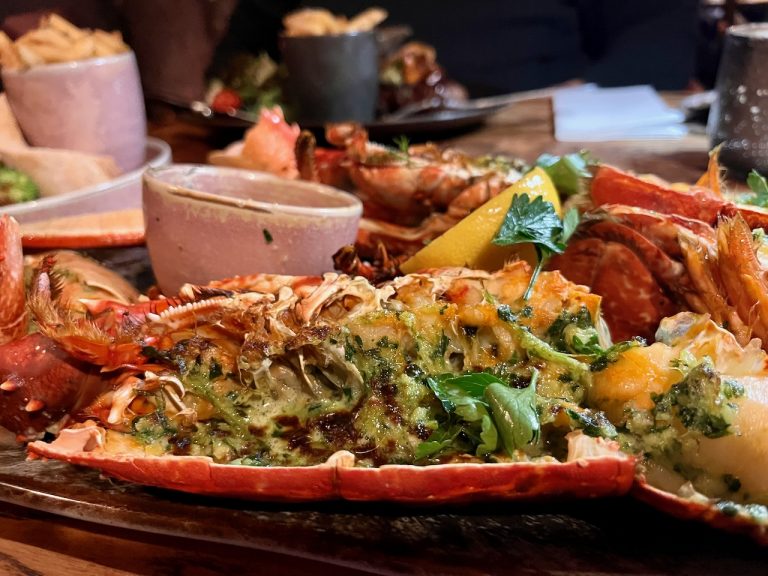 skye24stein7 768x576