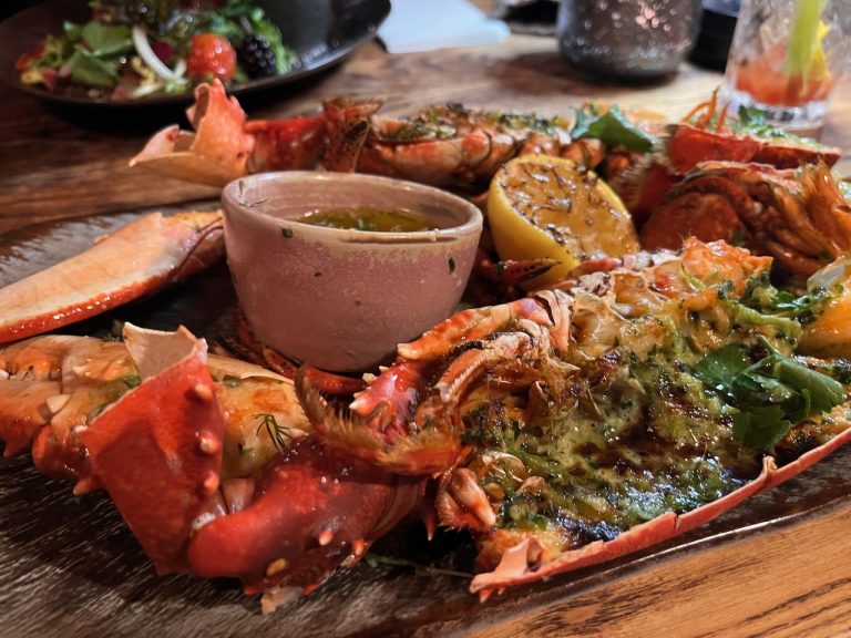 skye24stein8 768x576