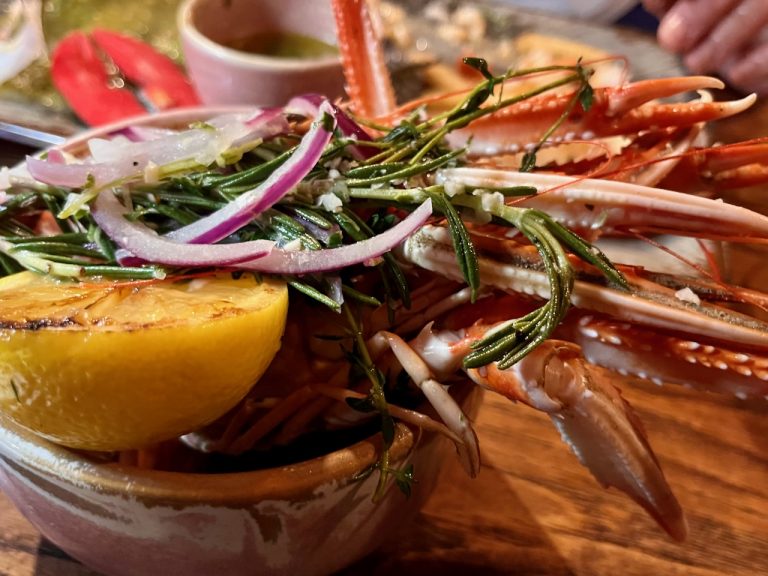 skye24stein9 768x576