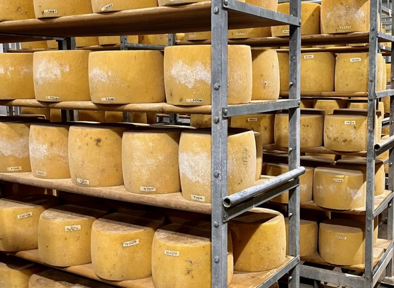 jane cheese room 2 768x561