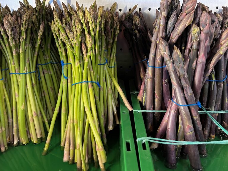 denhead day4 768x576