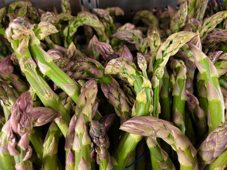 denhead day5 768x576