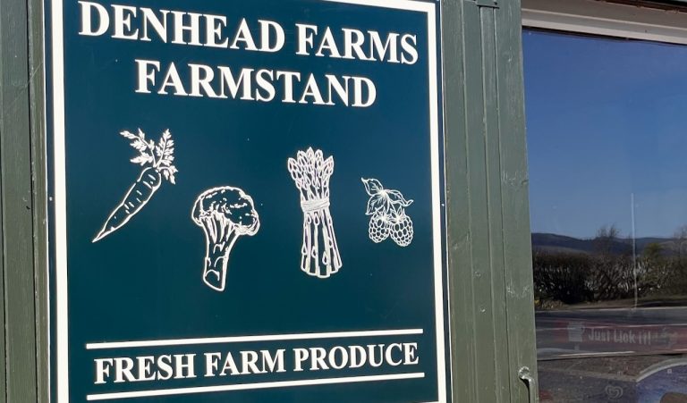 denhead day6 768x451