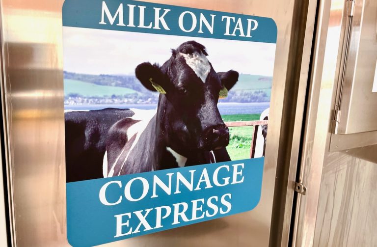 connage milk 768x503