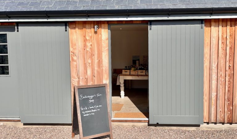 ballin shop2 768x452