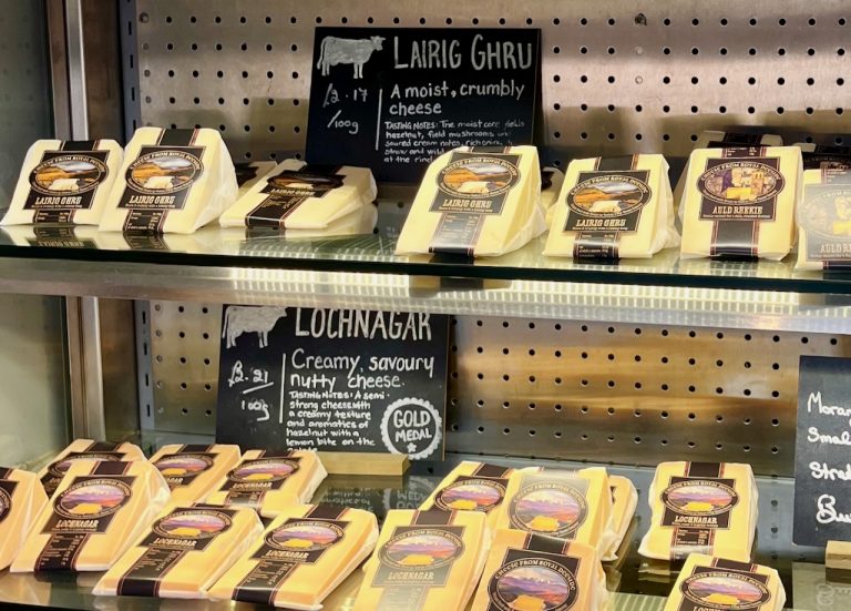 cambus cafe2 768x551