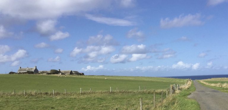shapinsay 768x372