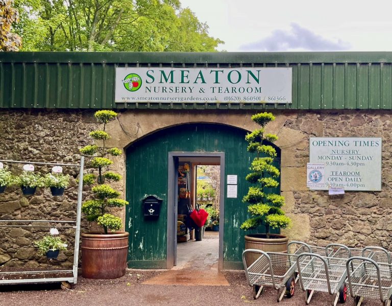 smeaton1 768x599