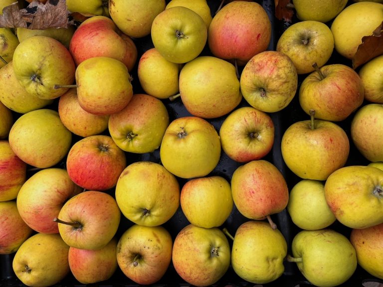 East neuk orchard3 768x576