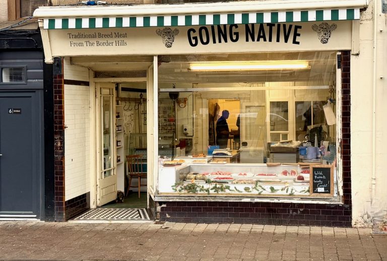 goingnative ext 768x518