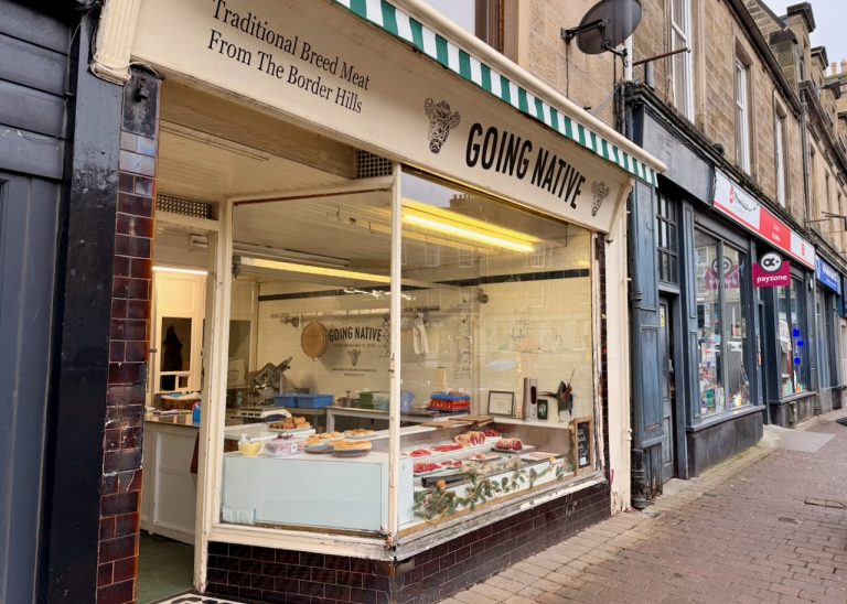 goingnative ext2 768x548