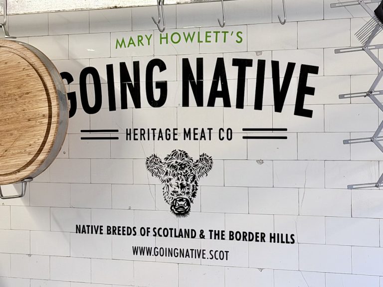 goingnative logo 768x576