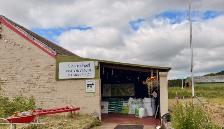 carmichael2 jul26 768x443