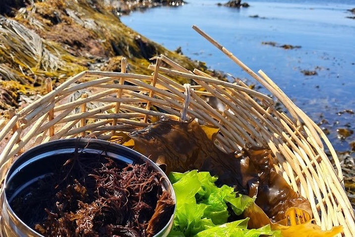 jaysonbasket tin shore